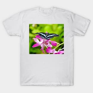 African Blue Banded Swallowtail Butterfly T-Shirt